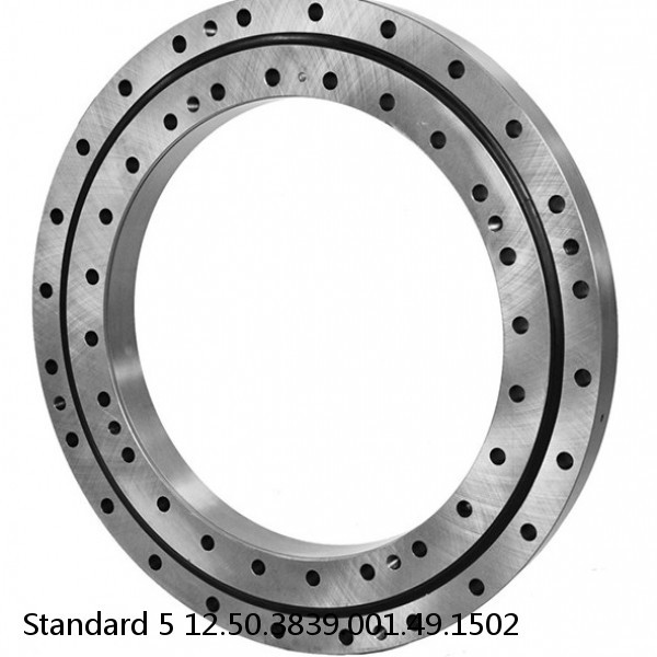 12.50.3839.001.49.1502 Standard 5 Slewing Ring Bearings