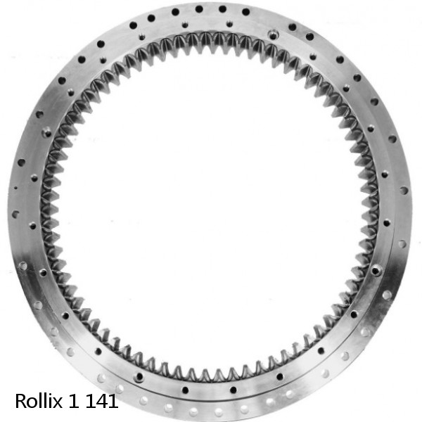 1 141 Rollix Slewing Ring Bearings