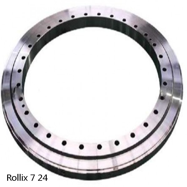 7 24 Rollix Slewing Ring Bearings