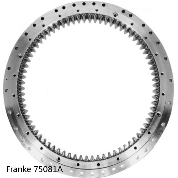 75081A Franke Slewing Ring Bearings #1 small image