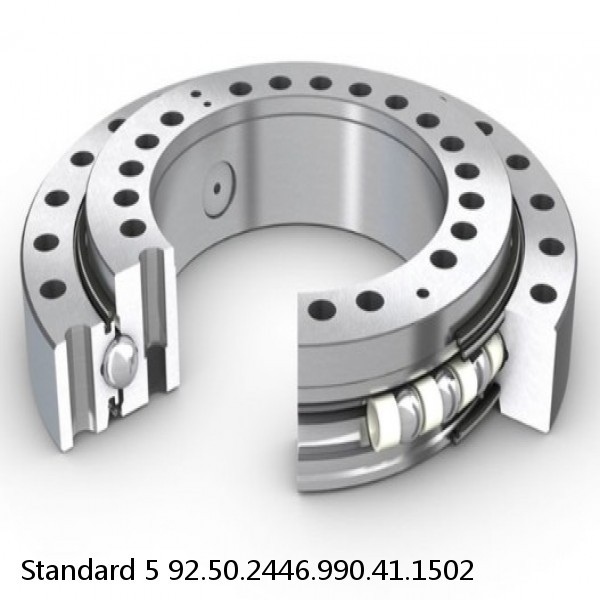 92.50.2446.990.41.1502 Standard 5 Slewing Ring Bearings #1 small image