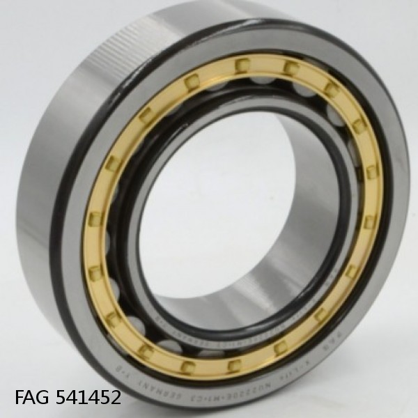 541452 FAG Cylindrical Roller Bearings #1 small image