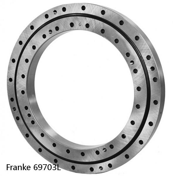 69703L Franke Slewing Ring Bearings #1 image