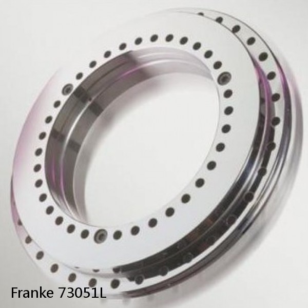 73051L Franke Slewing Ring Bearings #1 image